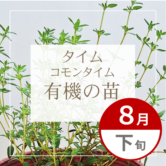 【グループ AUG-02 | 8月下旬発送】有機の苗 | コモンタイム